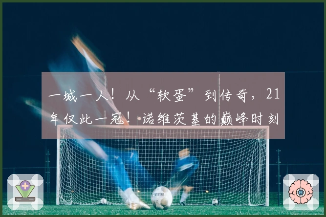 一城一人！从“软蛋”到传奇，21年仅此一冠！诺维茨基的巅峰时刻